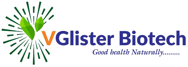 VGlister Logo